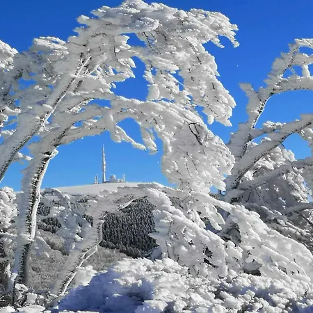 La Maison Forestiere De بيت ريفي